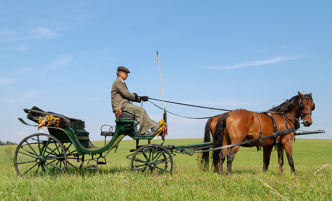 Przejażdżki bryczką